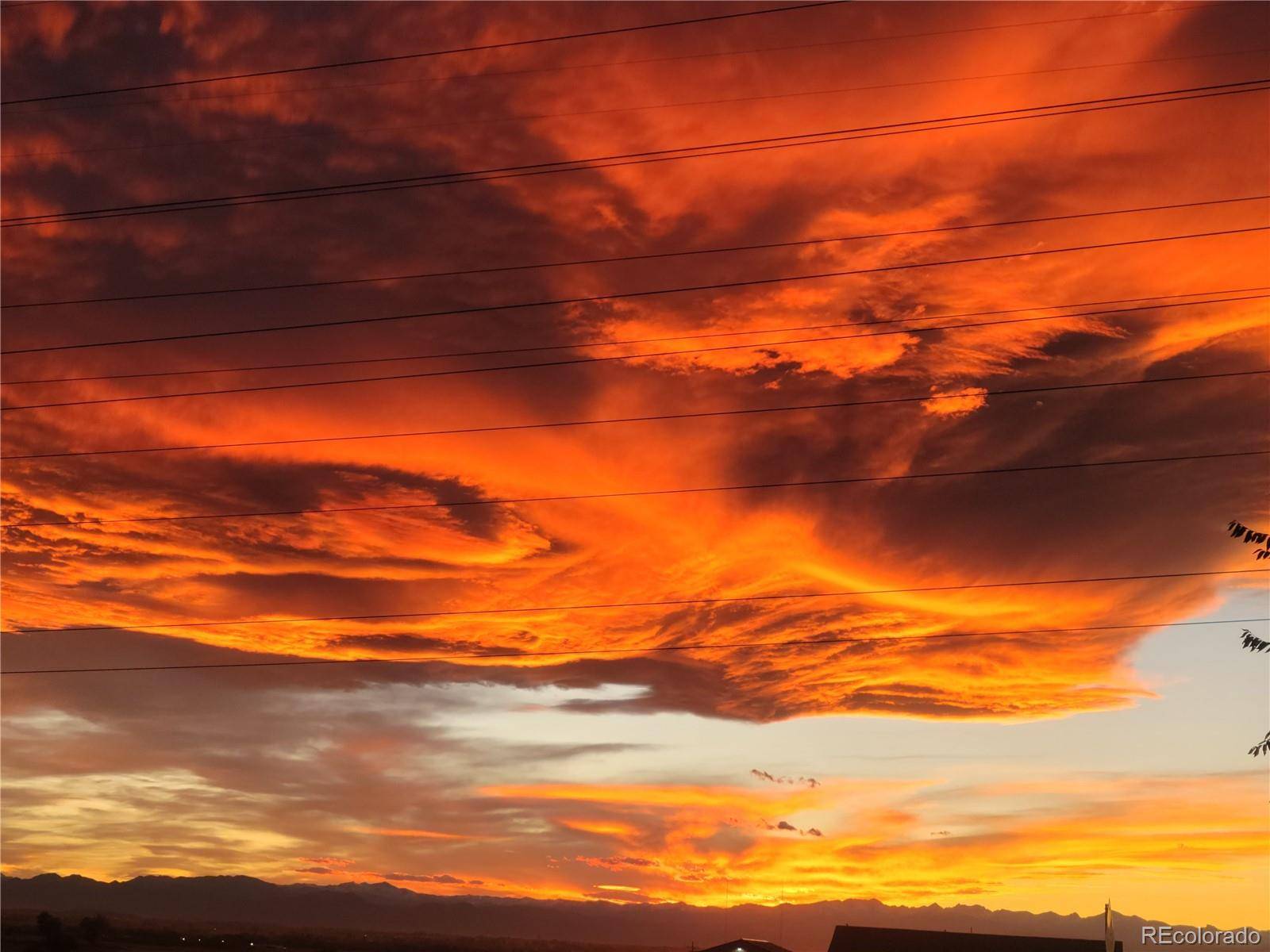 Fort Lupton, CO 80621,7992 County Road 31