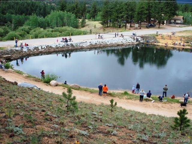 Bailey, CO 80421,98 Wilkins RD