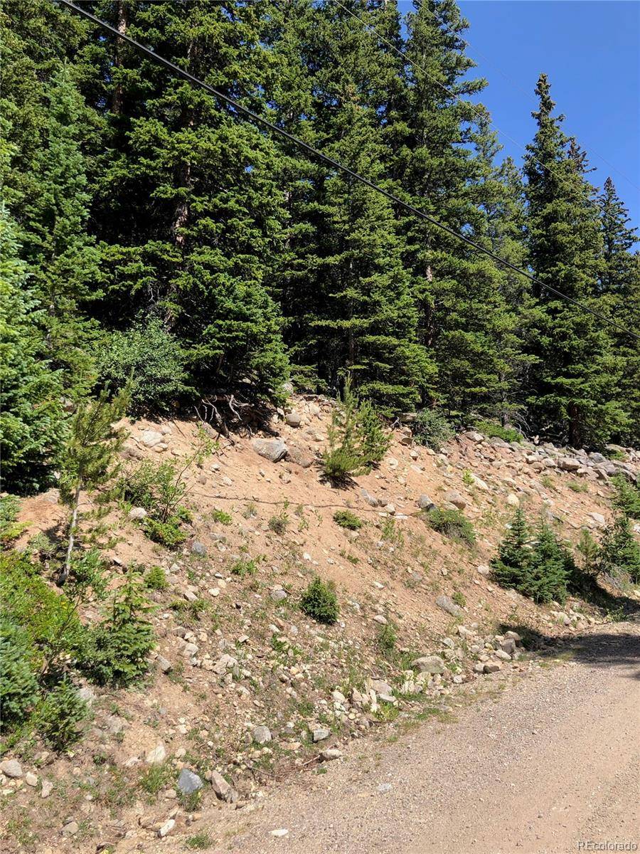 Idaho Springs, CO 80452,000 Mine RD