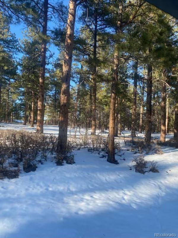 Larkspur, CO 80118,5845 S Pike DR