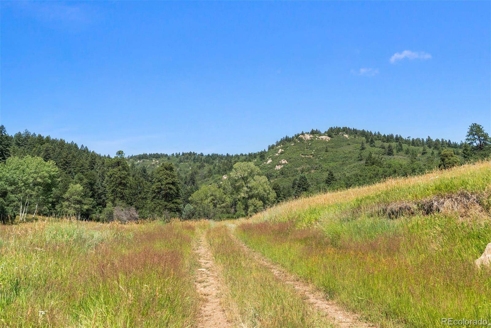 Littleton, CO 80127,12954 Kuehster RD