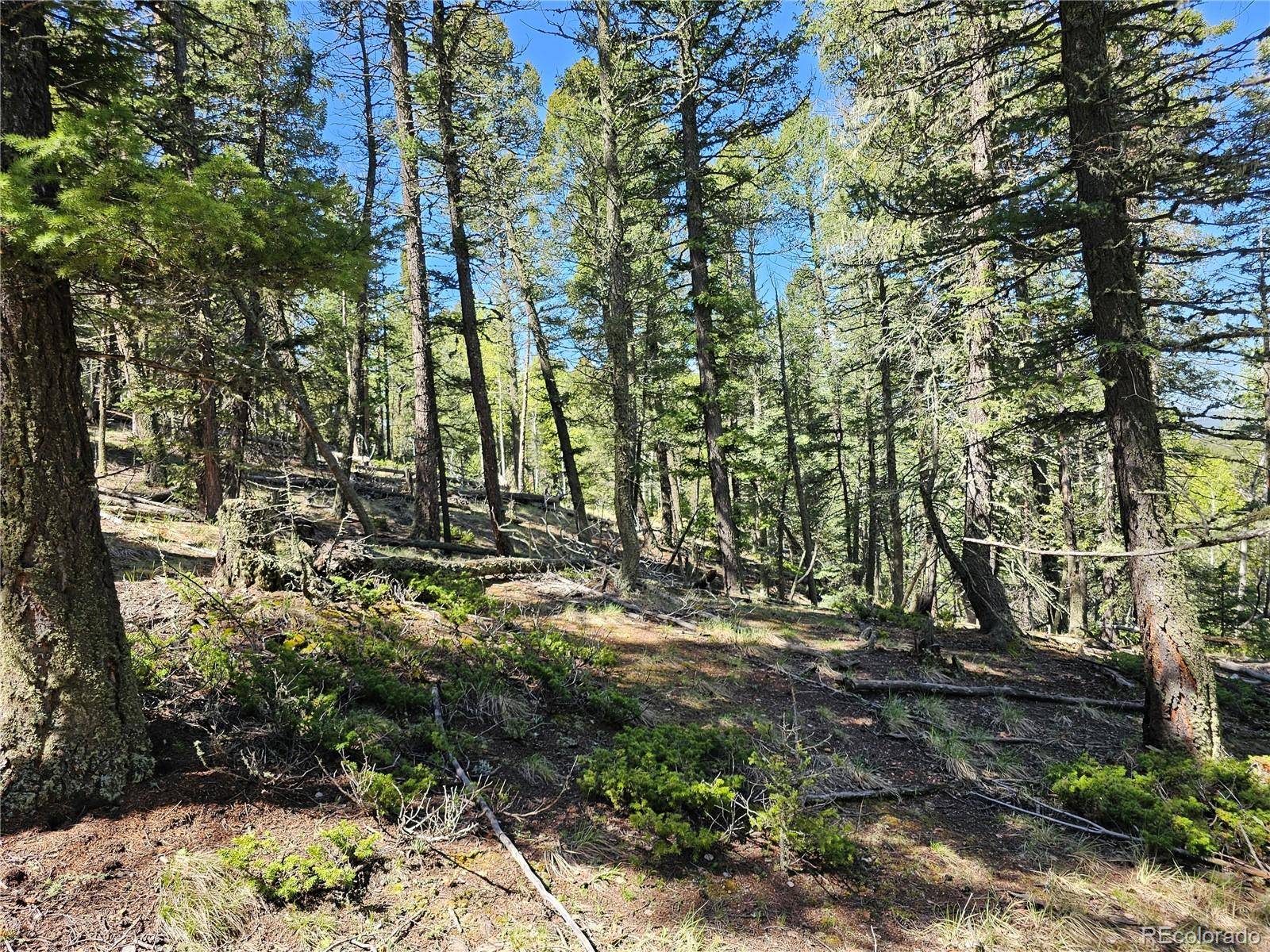 Florissant, CO 80816,52 Warrior CIR
