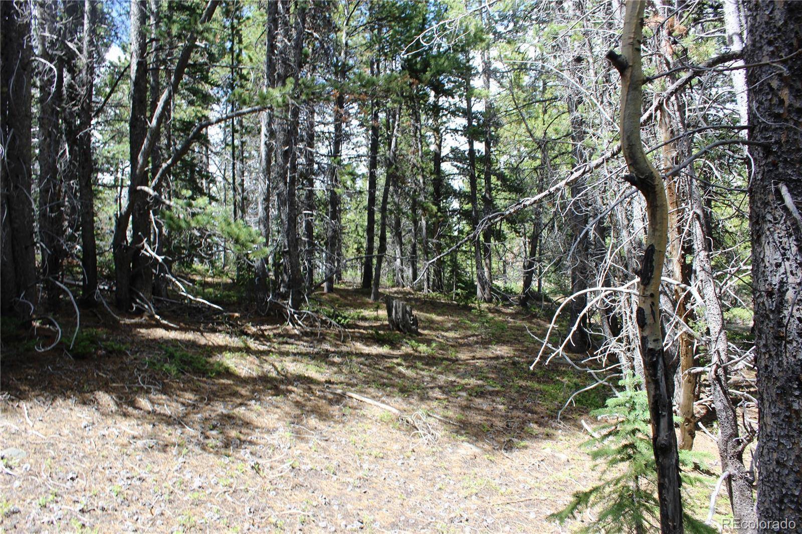 Idaho Springs, CO 80452,Group 2-3 Lamartine RD
