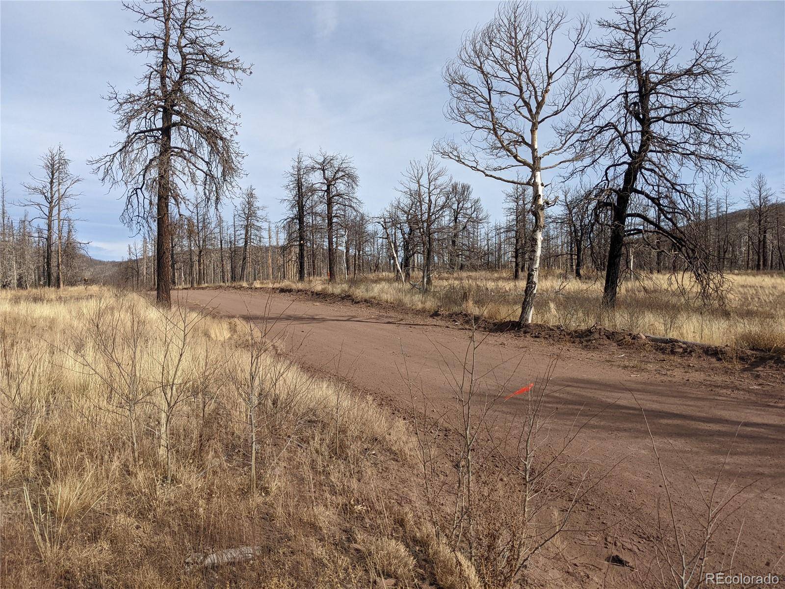 Fort Garland, CO 81133,1610 Emery LOOP