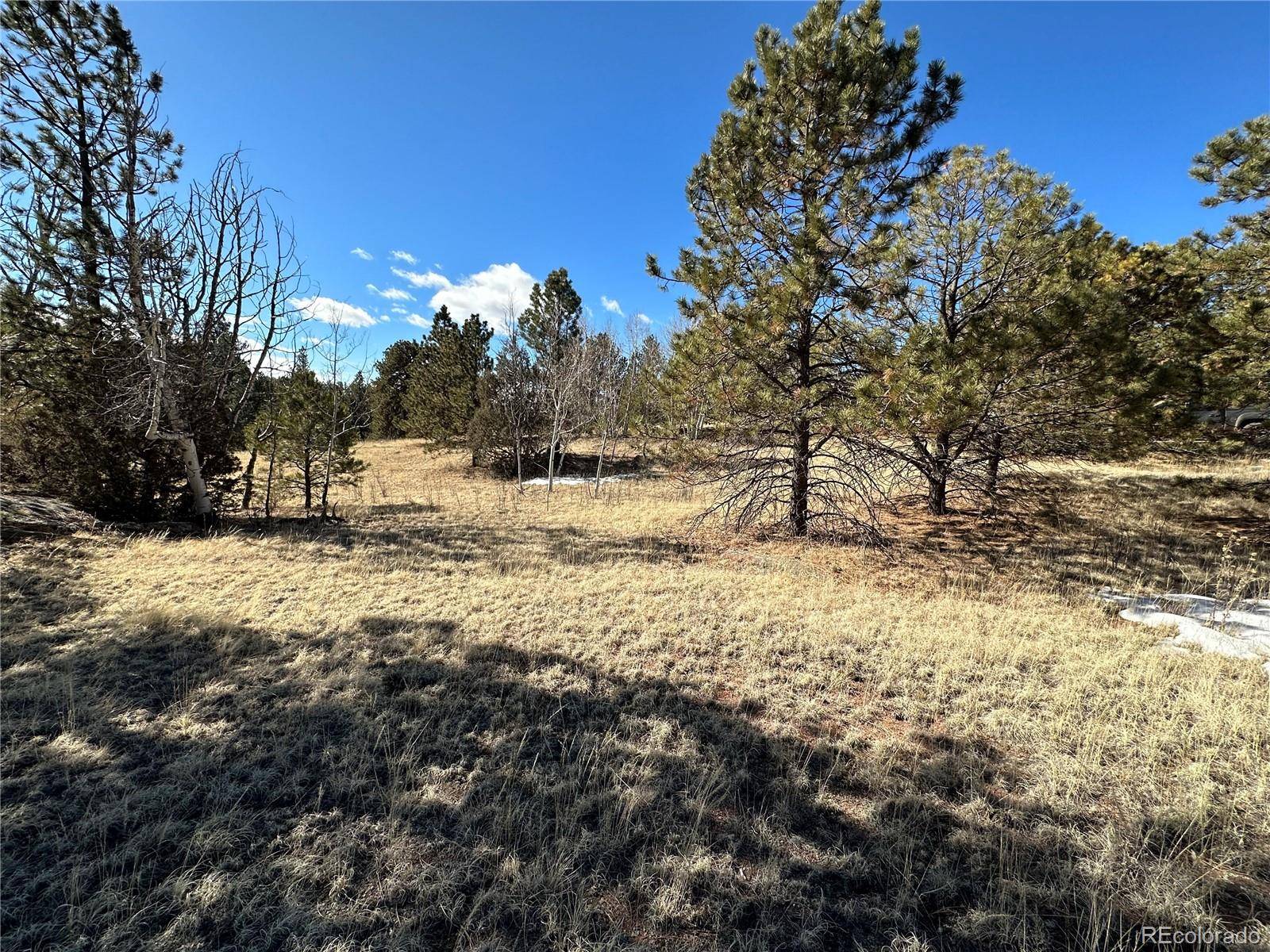 Florissant, CO 80816,98 Gleneagle DR