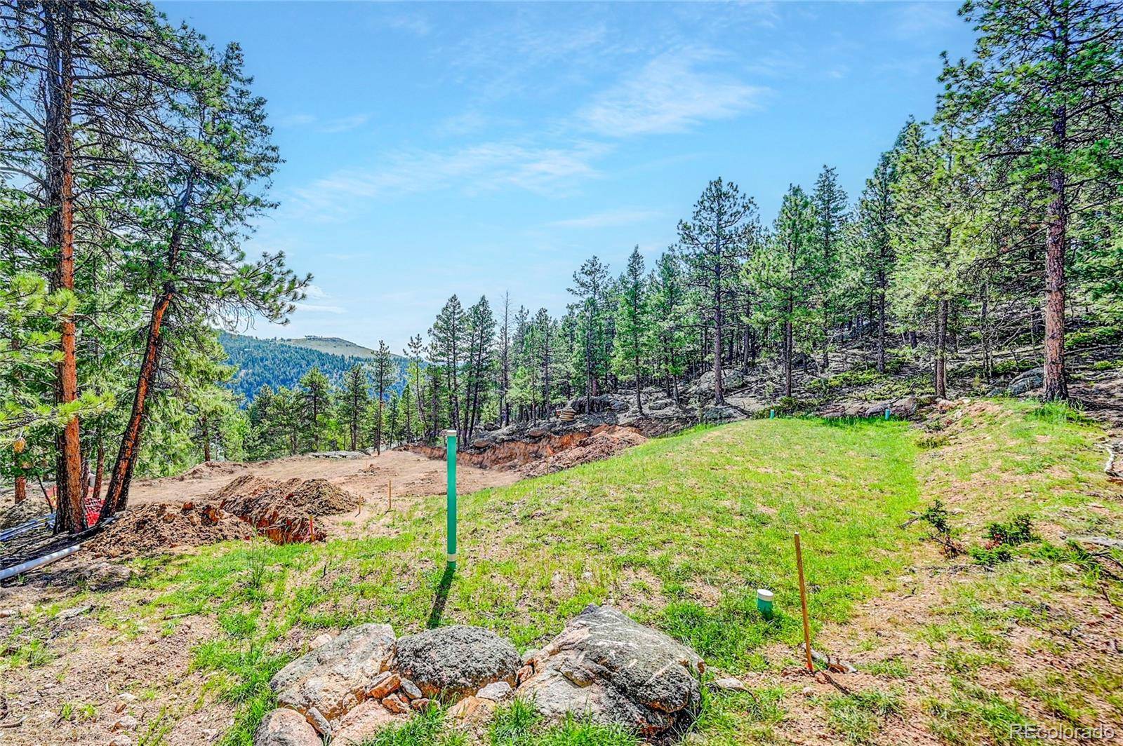 Bailey, CO 80421,4501 County Road 72