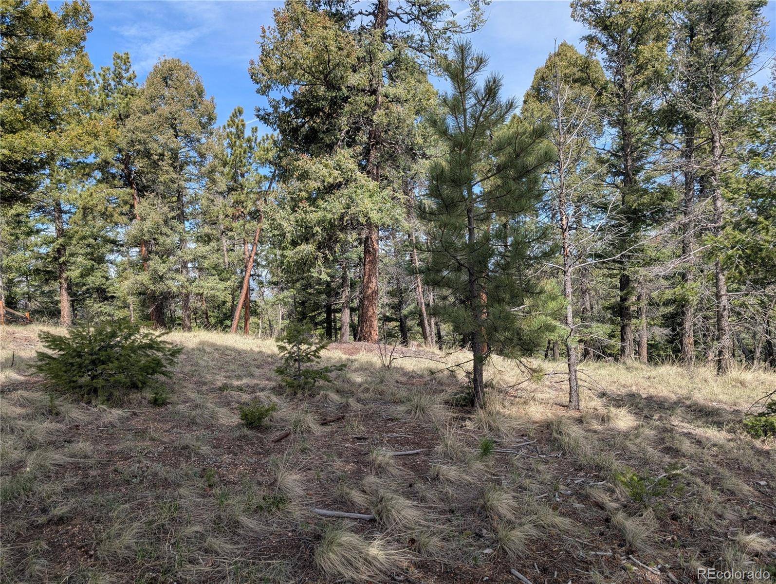 Florissant, CO 80816,971 Spring Valley LN