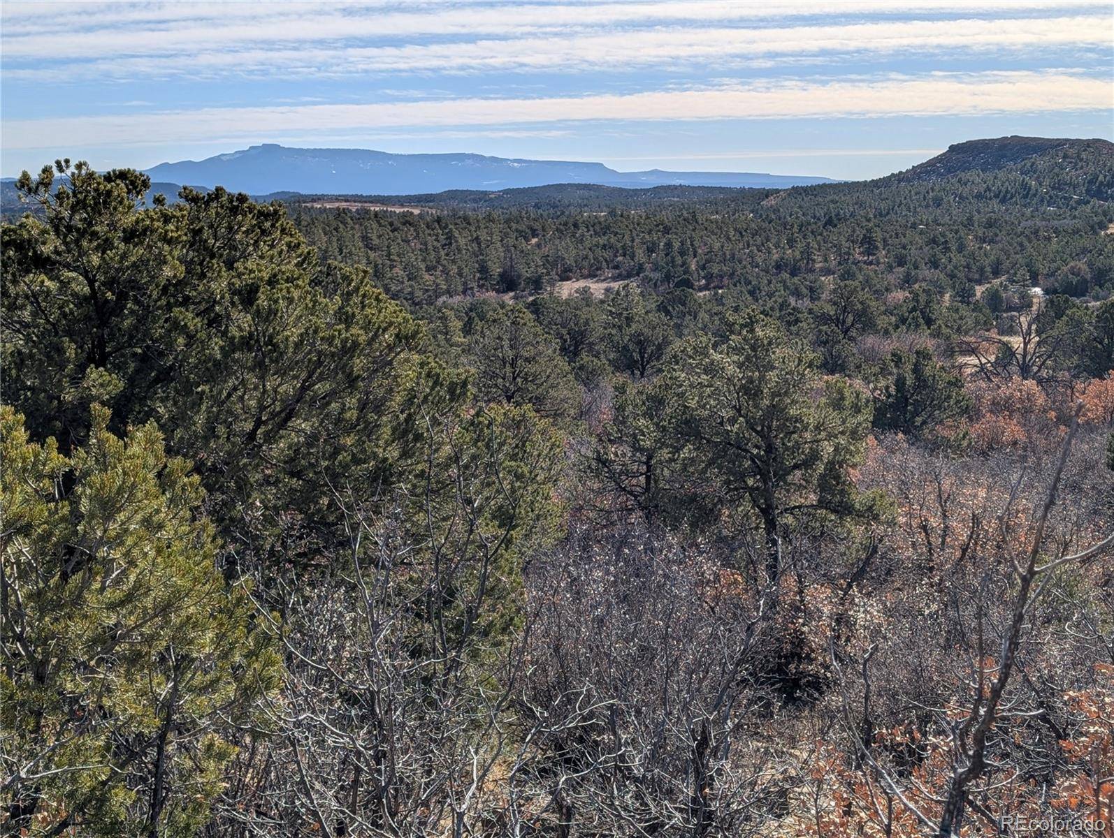 Boncarbo, CO 81024,LDS