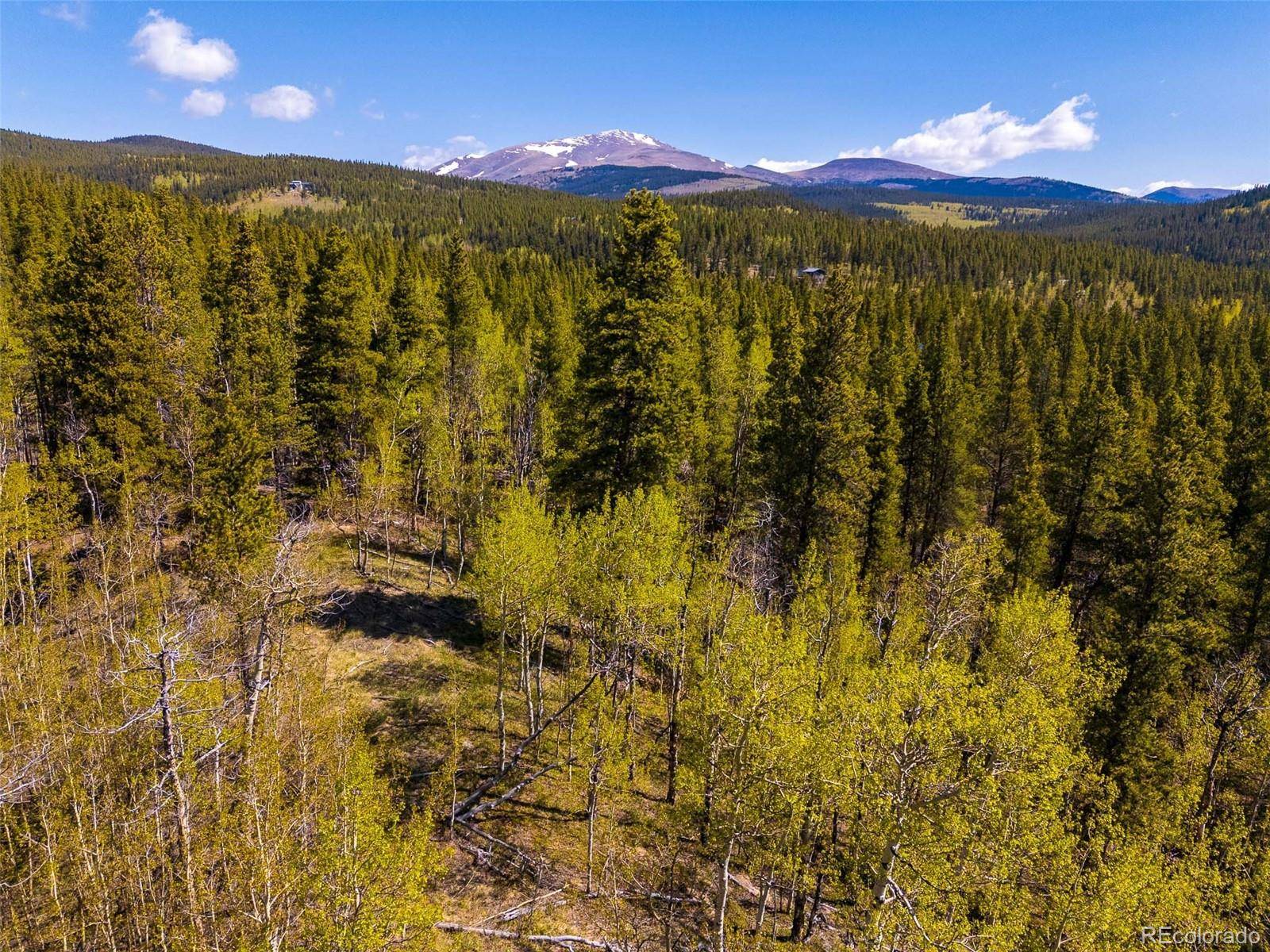 Fairplay, CO 80440,89 Ski Doo RD
