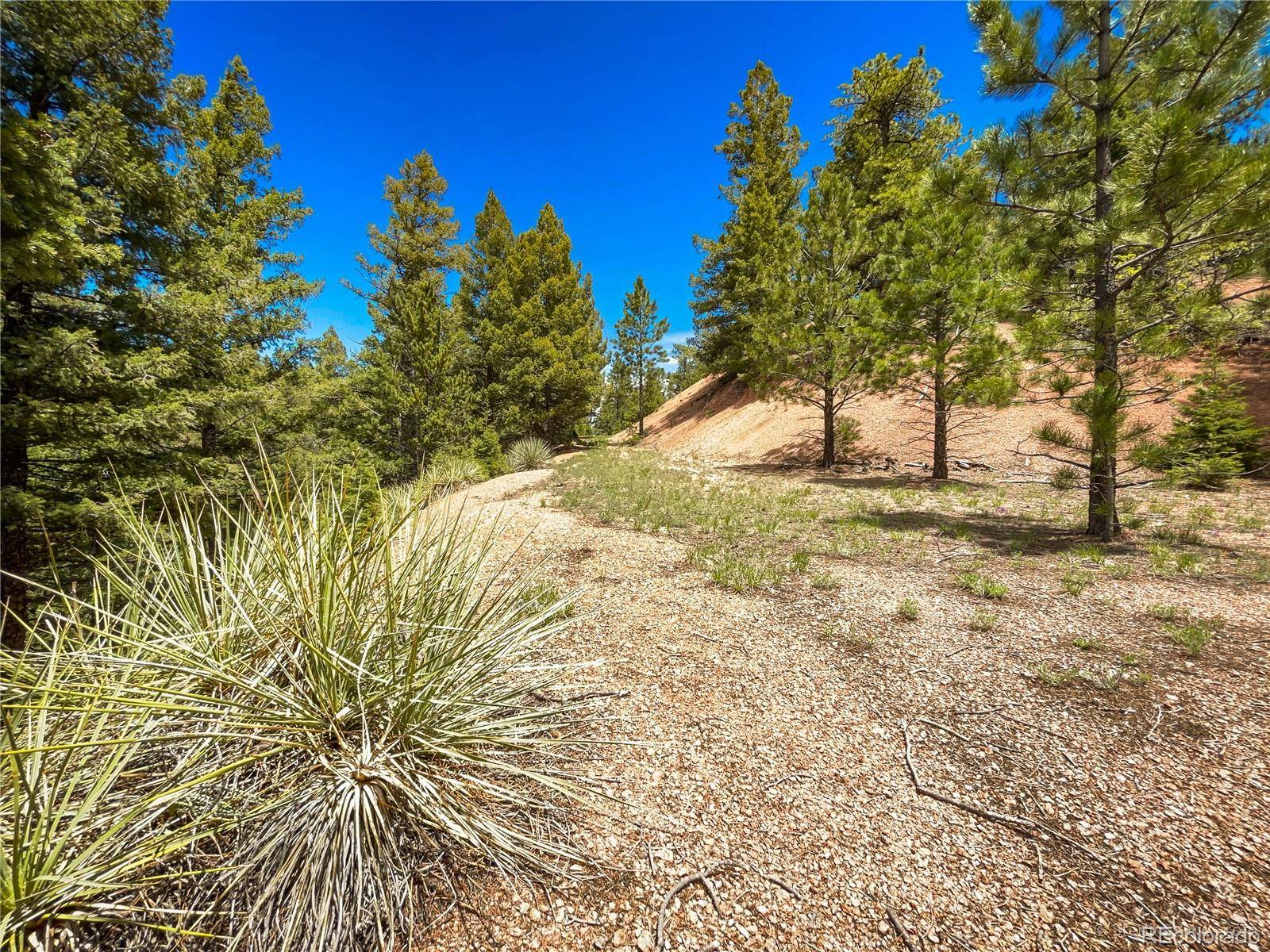 Larkspur, CO 80118,TBD Rocky Point Lane