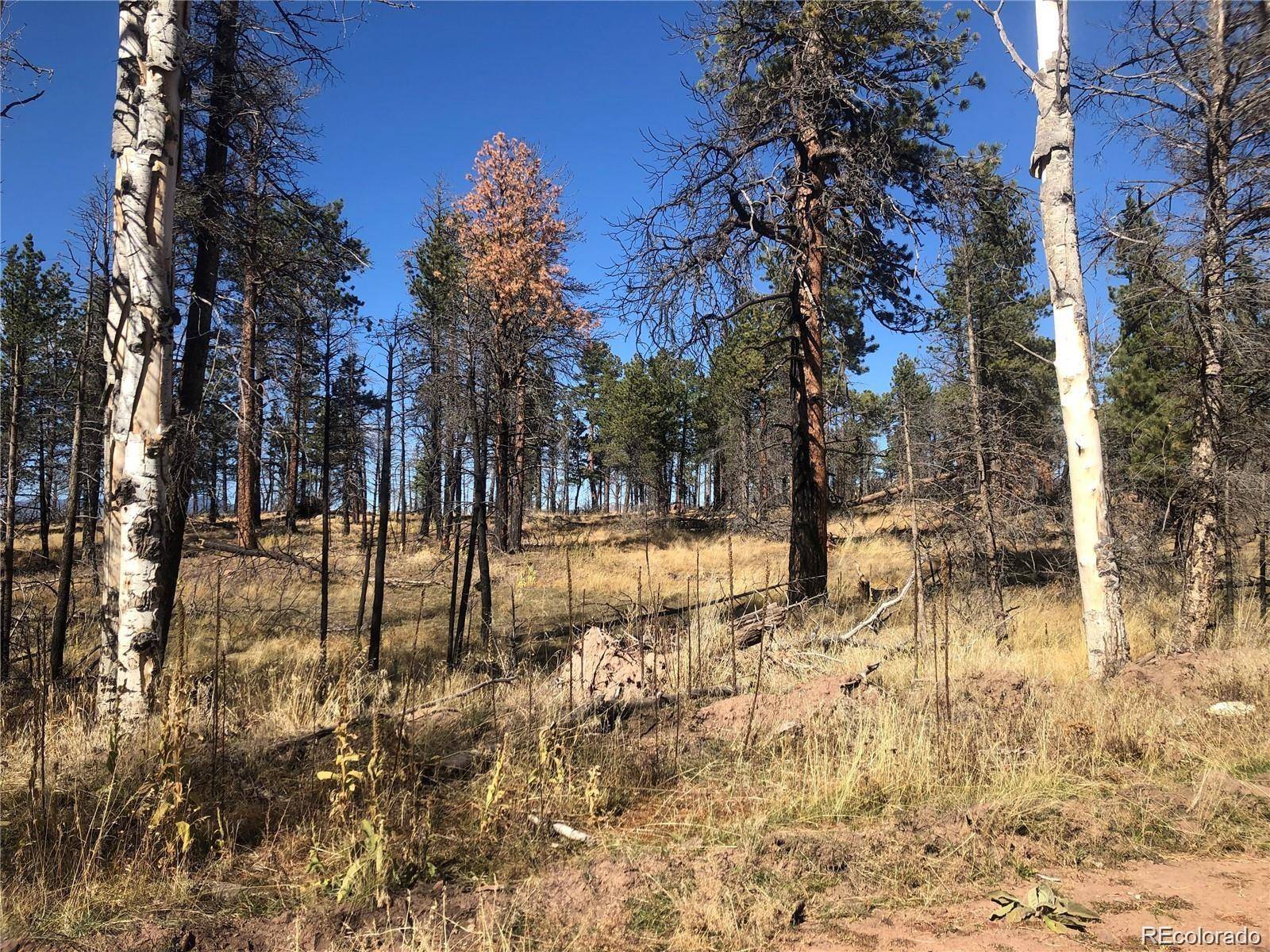 Fort Garland, CO 81133,000 Marriot Circle