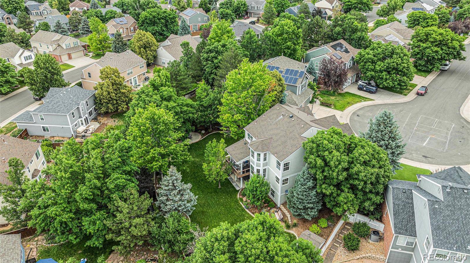 Highlands Ranch, CO 80129,10197 Mountain Maple LN