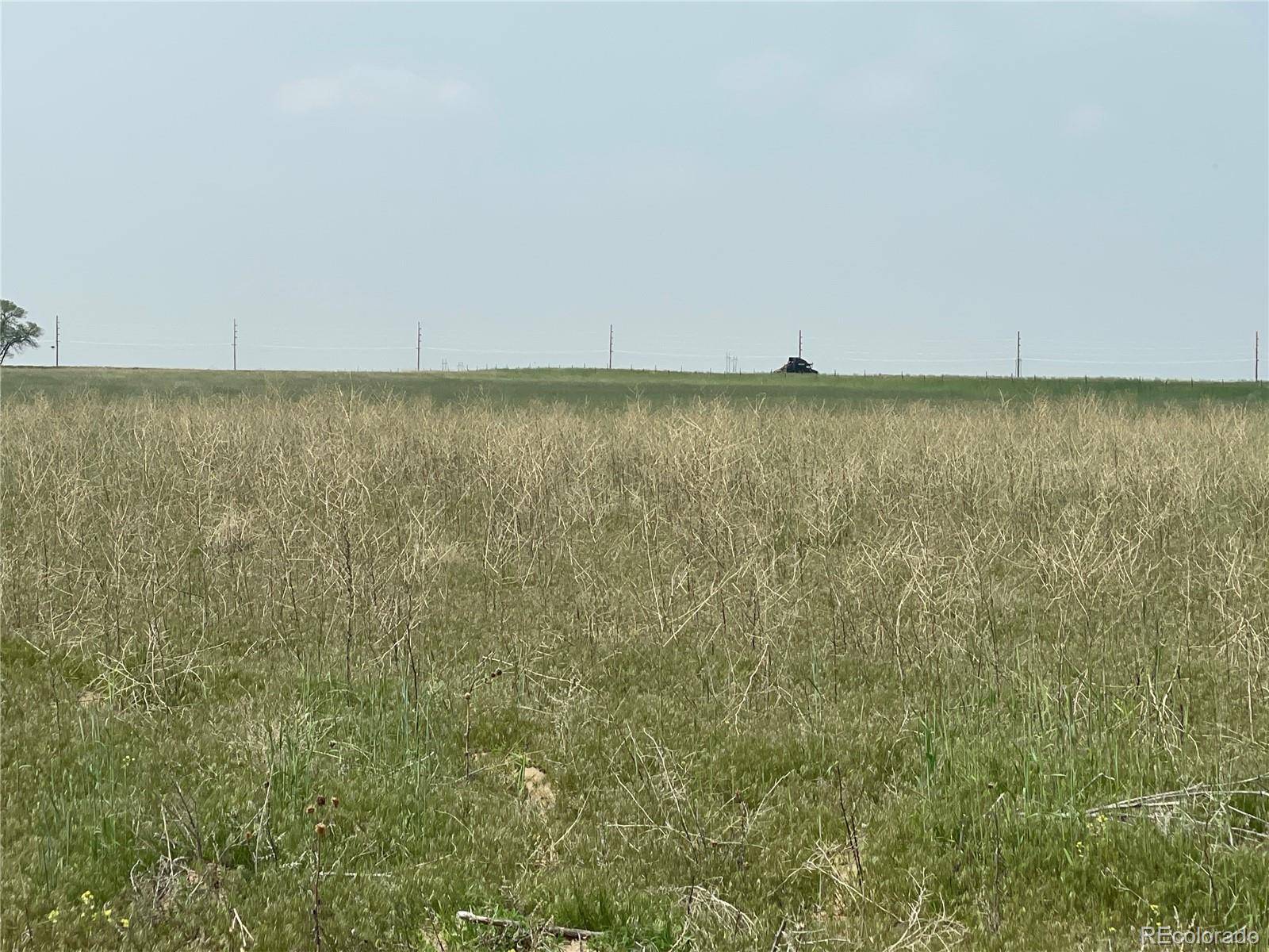 Keenesburg, CO 80643,31631 County Road 398