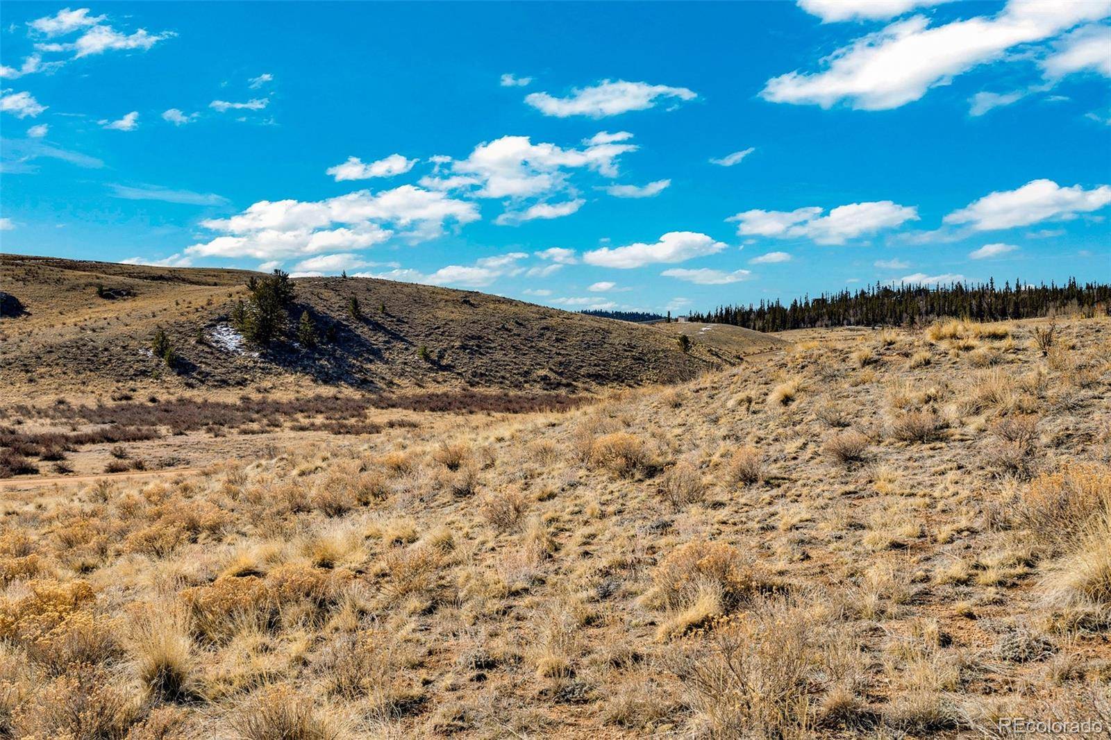 Como, CO 80432,2892 Breton CIR