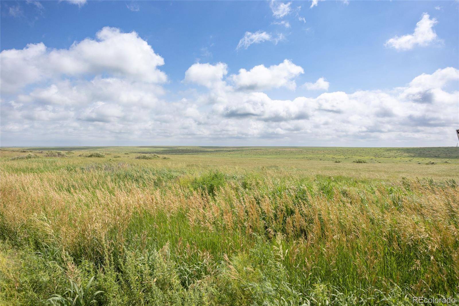 Lindon, CO 80720,4701 W Cherokee/ County Road 9 RD