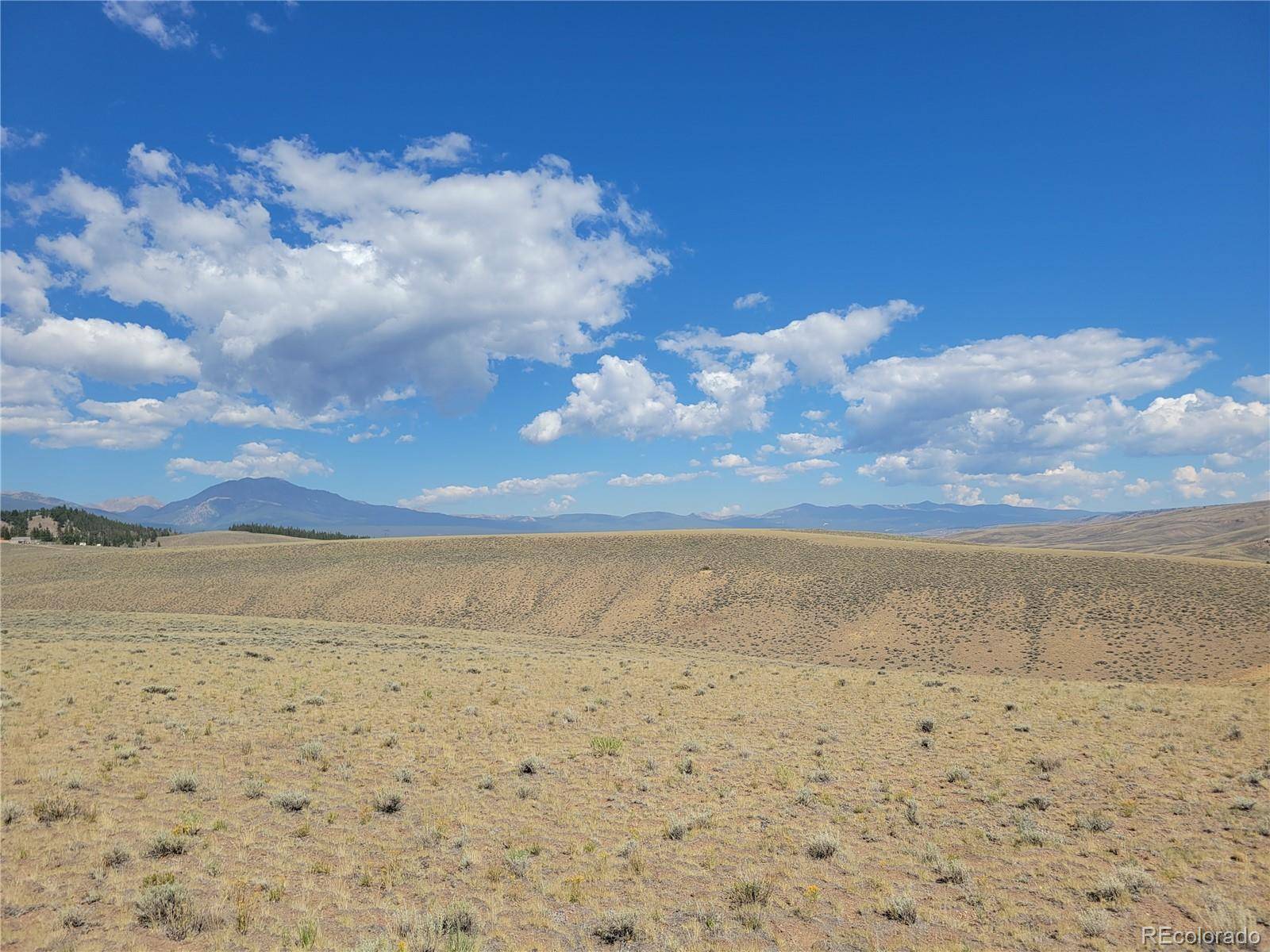 Twin Lakes, CO 81251,tbd