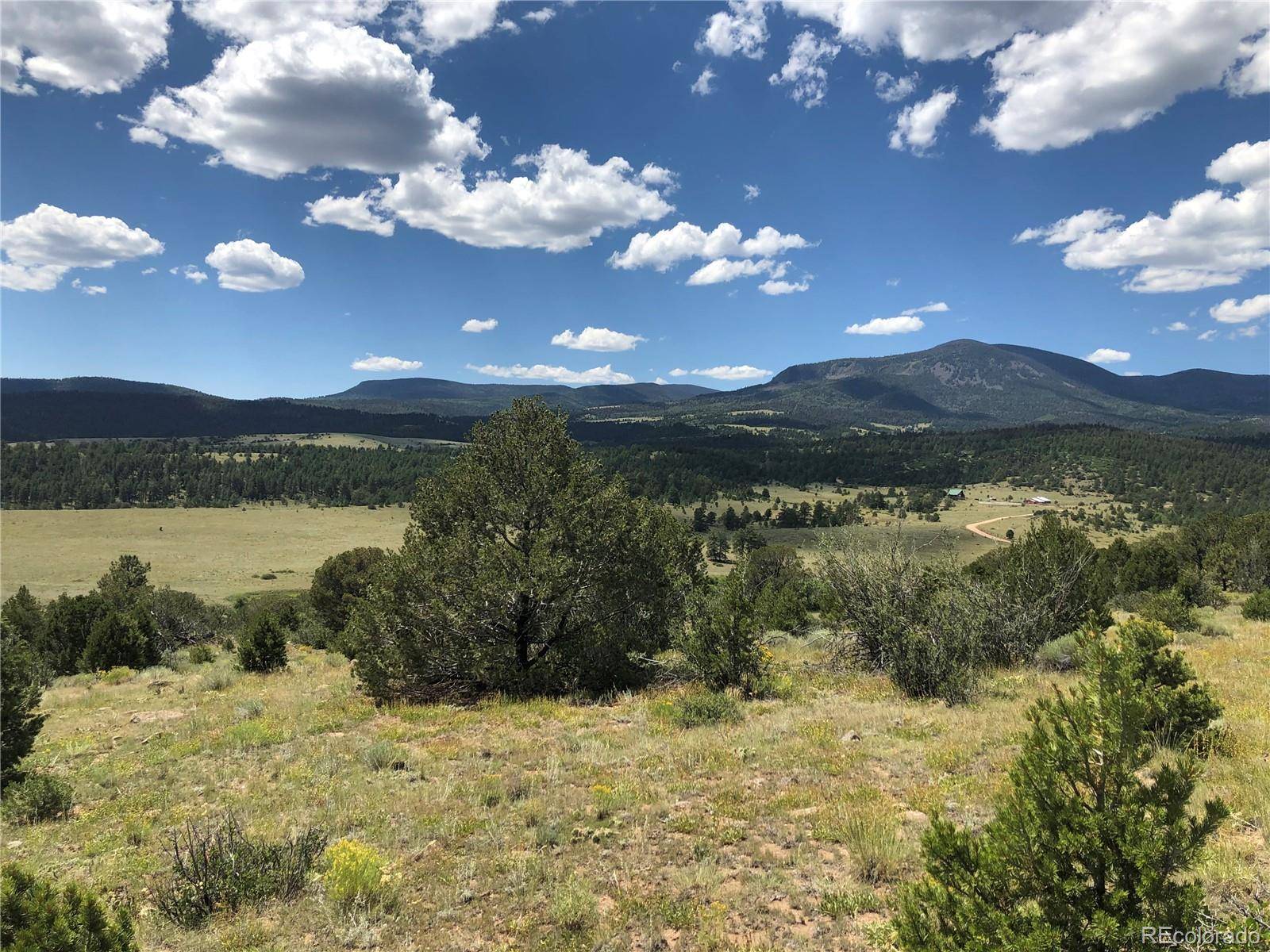 Canon City, CO 81212,Rosebush RD