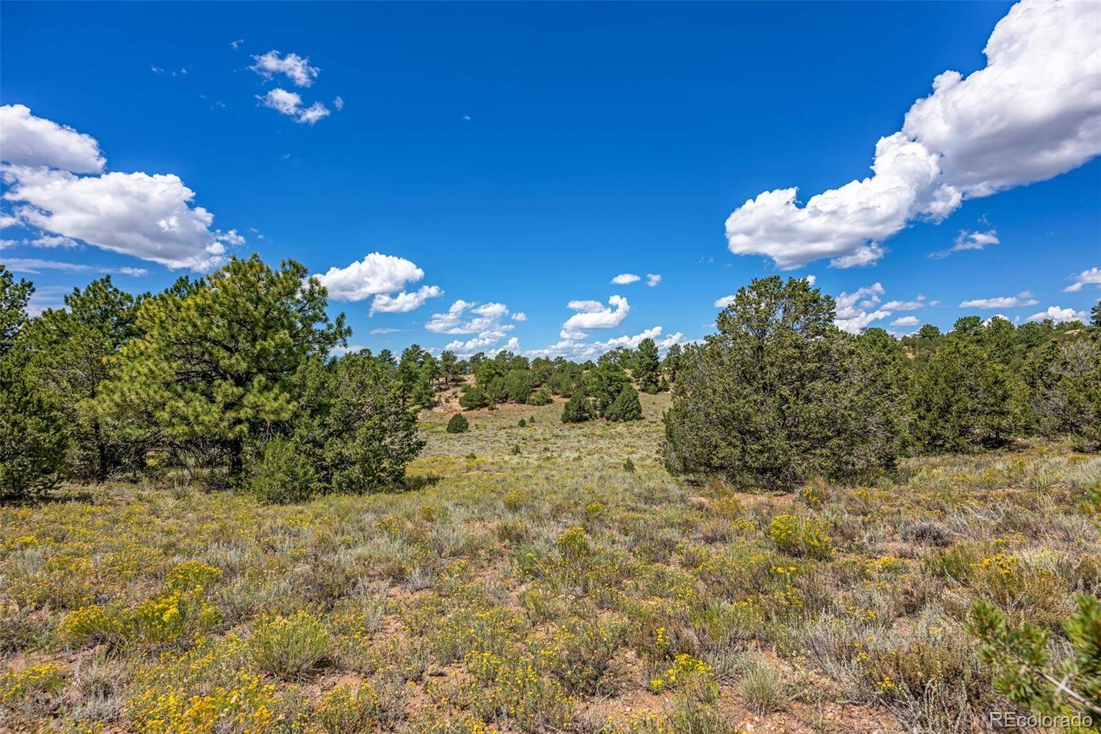 Westcliffe, CO 81252,143 Taos TRL