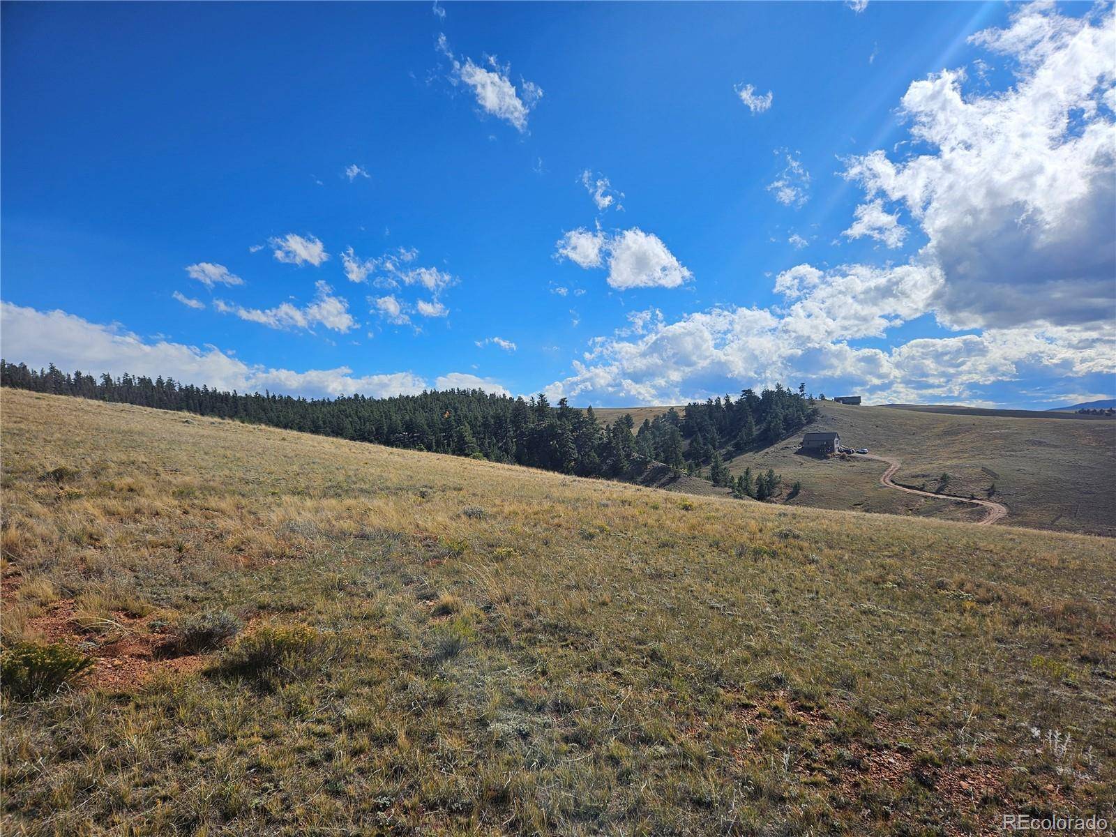 Hartsel, CO 80456,PCS#25251 Fernando TRL