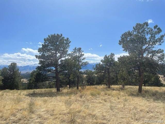 Westcliffe, CO 81252,1100 Junkins LOOP