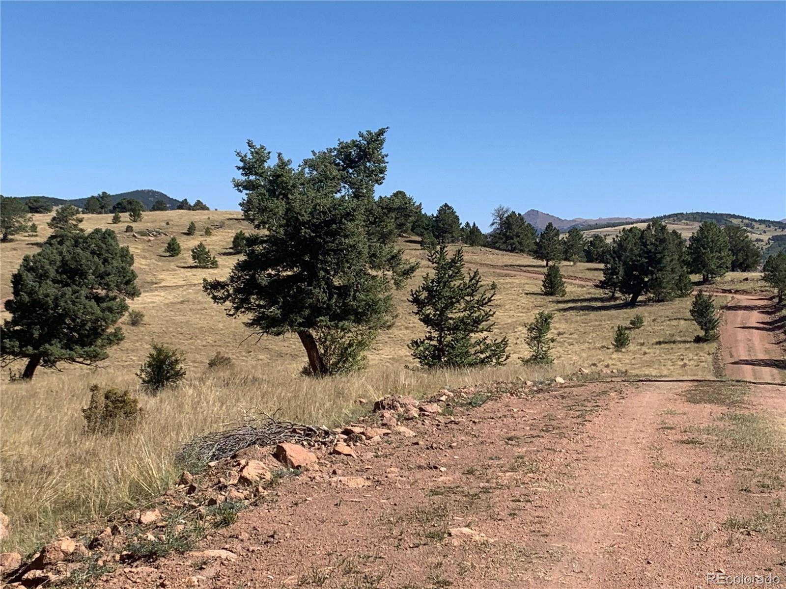 Cripple Creek, CO 80813,832 County Road 89