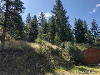 Bailey, CO 80421,85 Mable LN