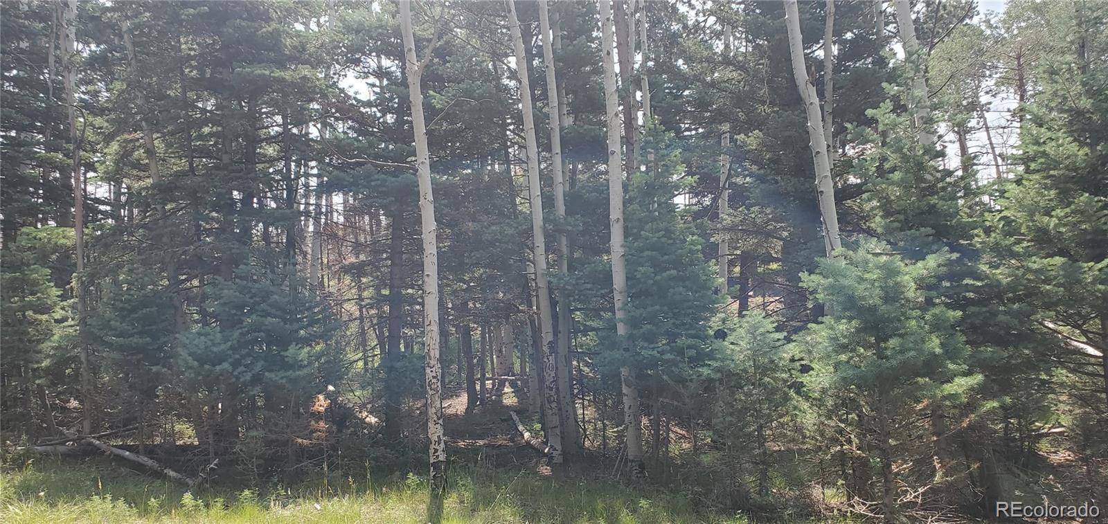 Fort Garland, CO 81133,1102 Emery LOOP
