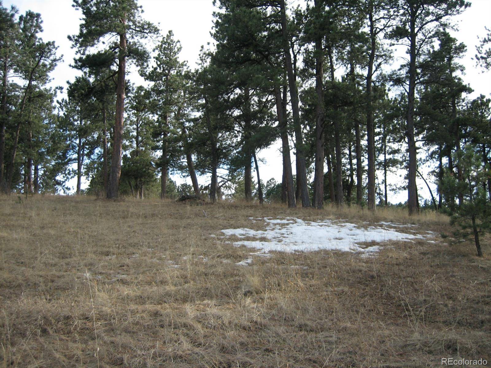 Evergreen, CO 80439,Lot 363 Interlocken CT