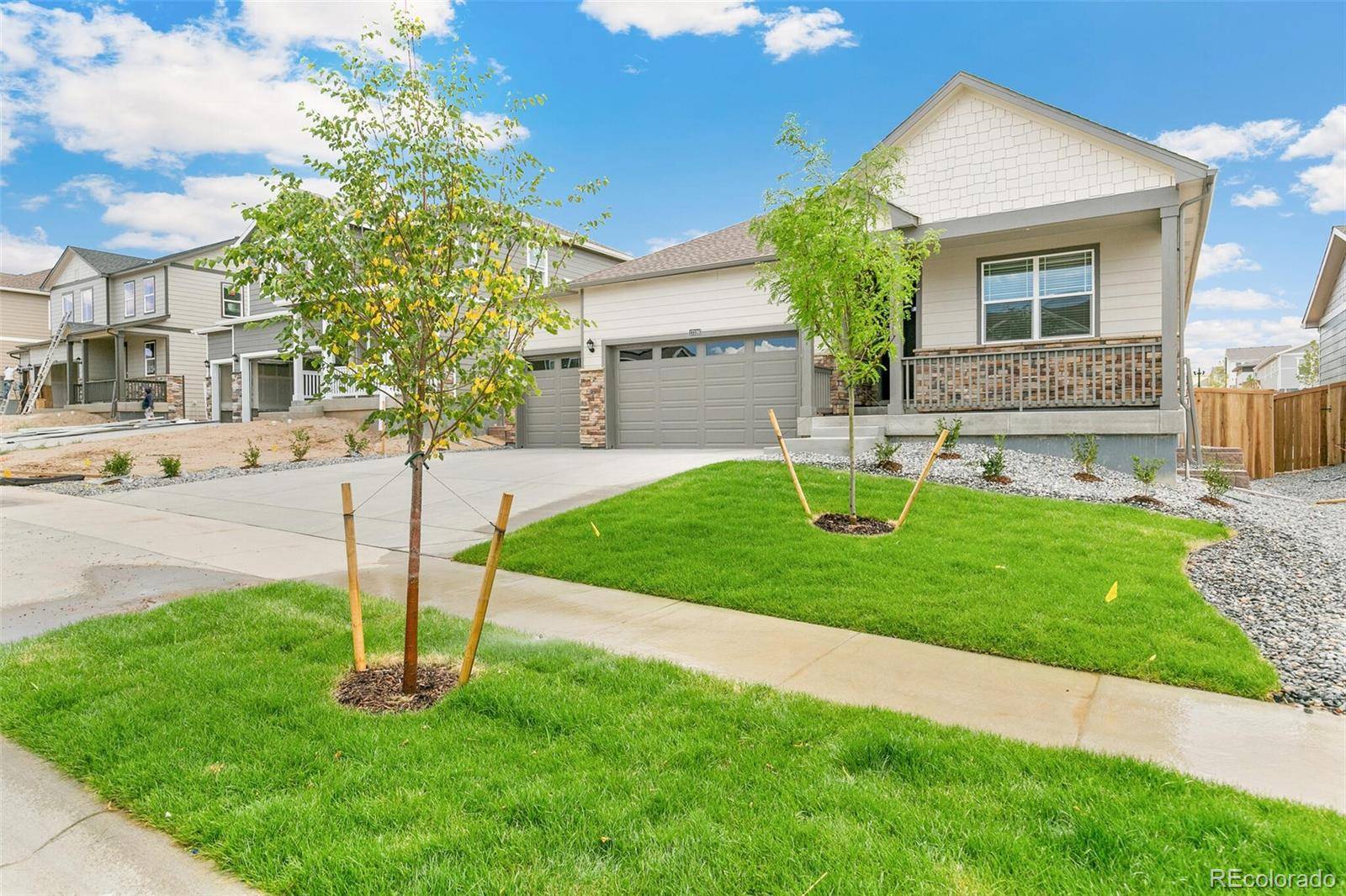Parker, CO 80134,14259 Beebalm AVE