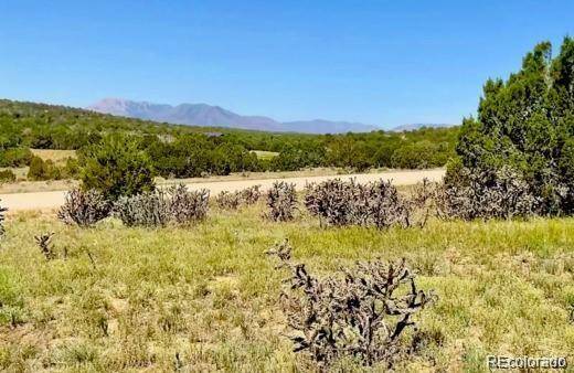 Walsenburg, CO 81089,123 Cello Azui DR