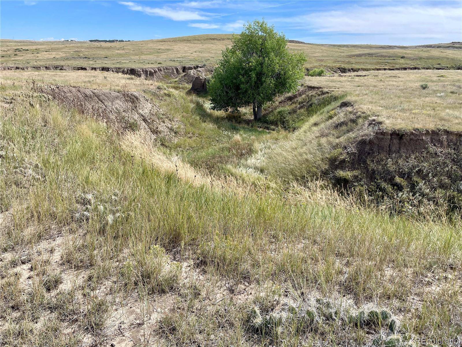 Calhan, CO 80808,12 County Road 77