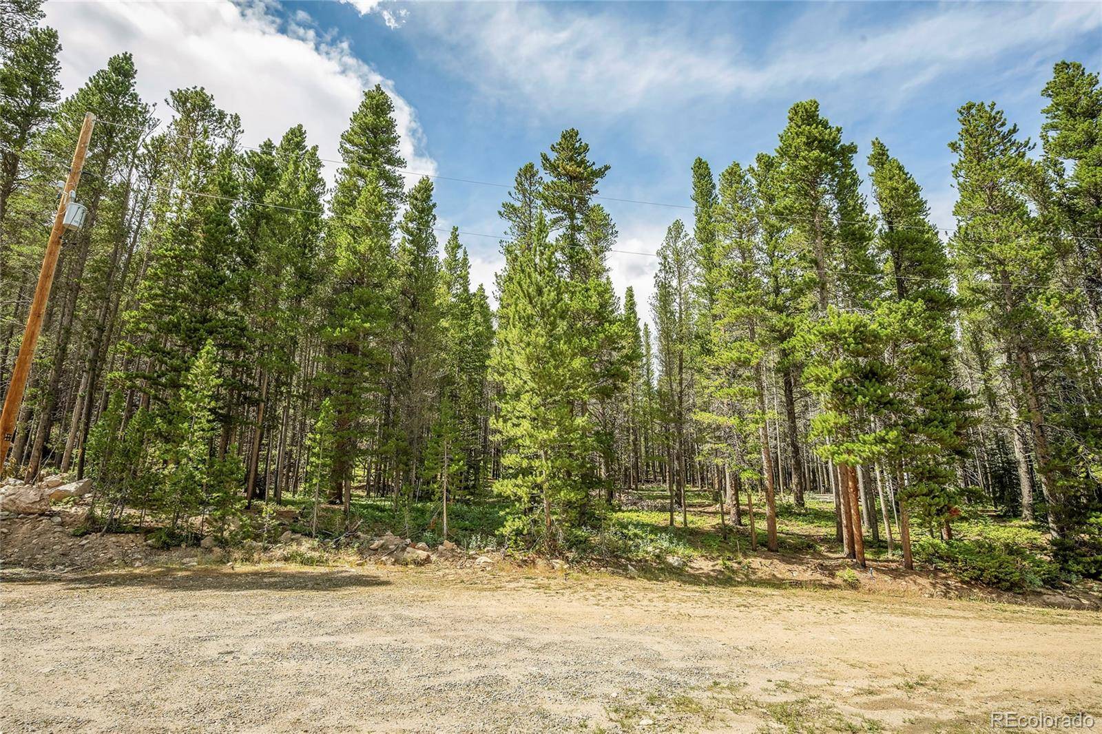 Idaho Springs, CO 80452,114 Elk CIR