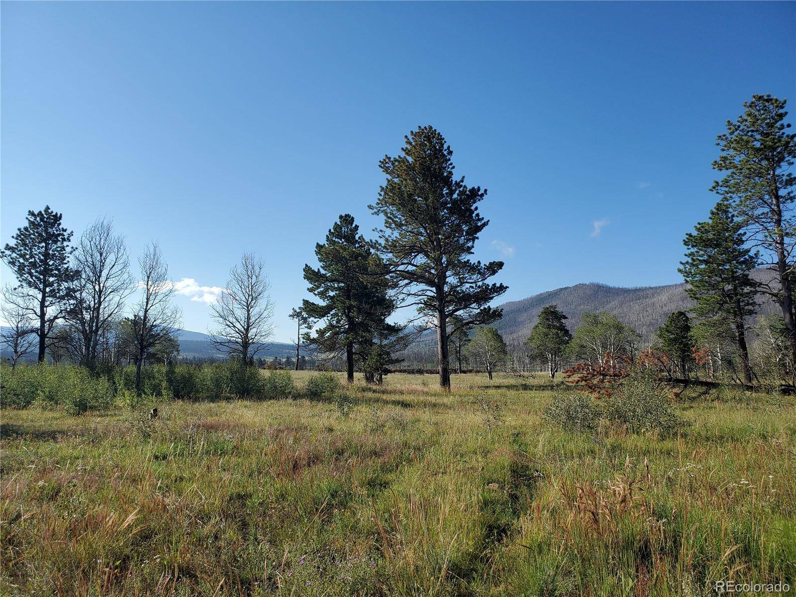 Fort Garland, CO 81133,1393 Emery LOOP