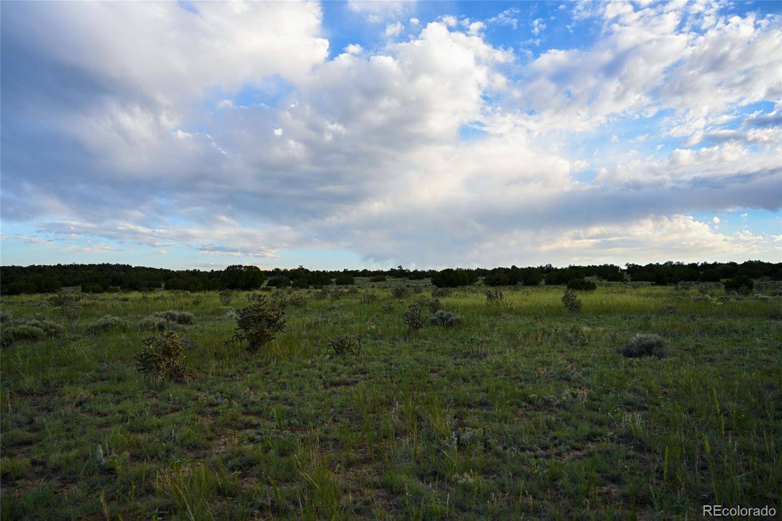 Walsenburg, CO 81089,Lots 24 & 26 Turkey Ridge Ranch