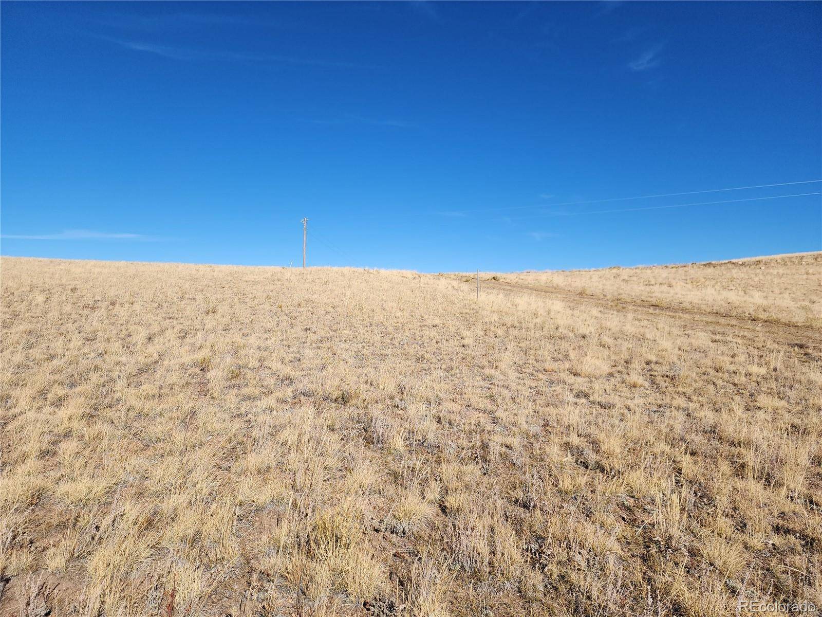 Hartsel, CO 80449,8802 Ranch RD