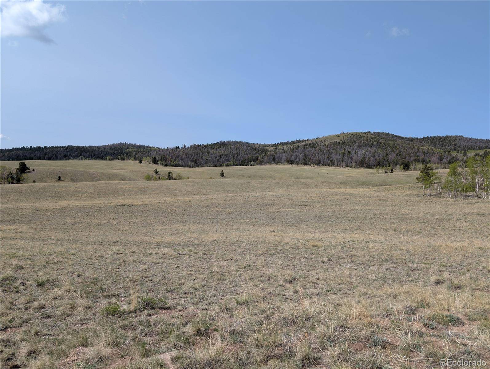 Hartsel, CO 80449,8802 Ranch RD