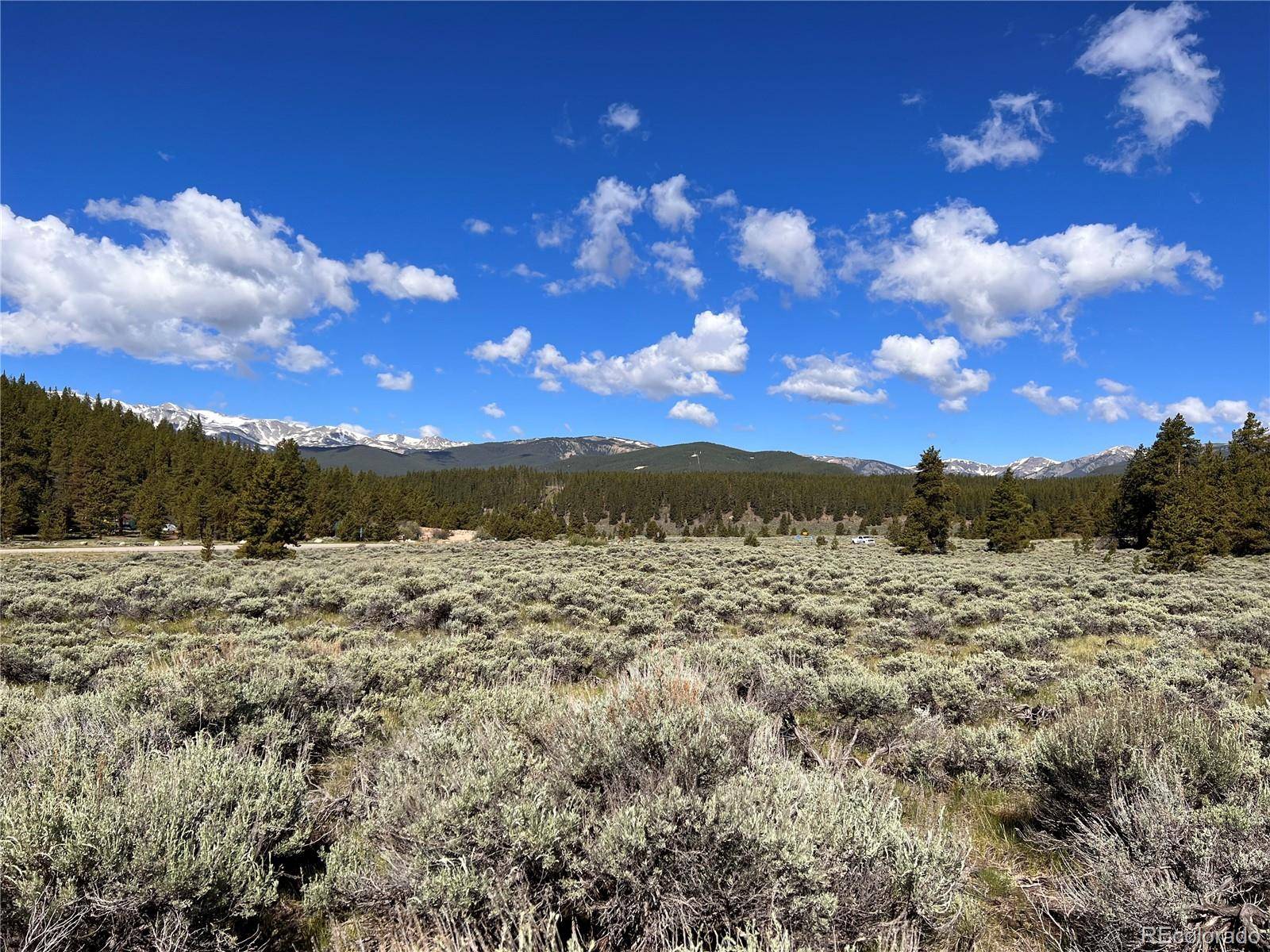 Leadville, CO 80461,TBD County Road 9