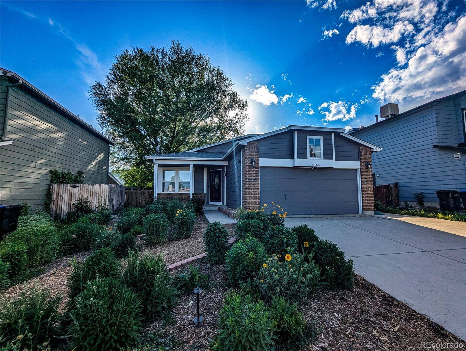 Arvada, CO 80003,6365 Xavier CT