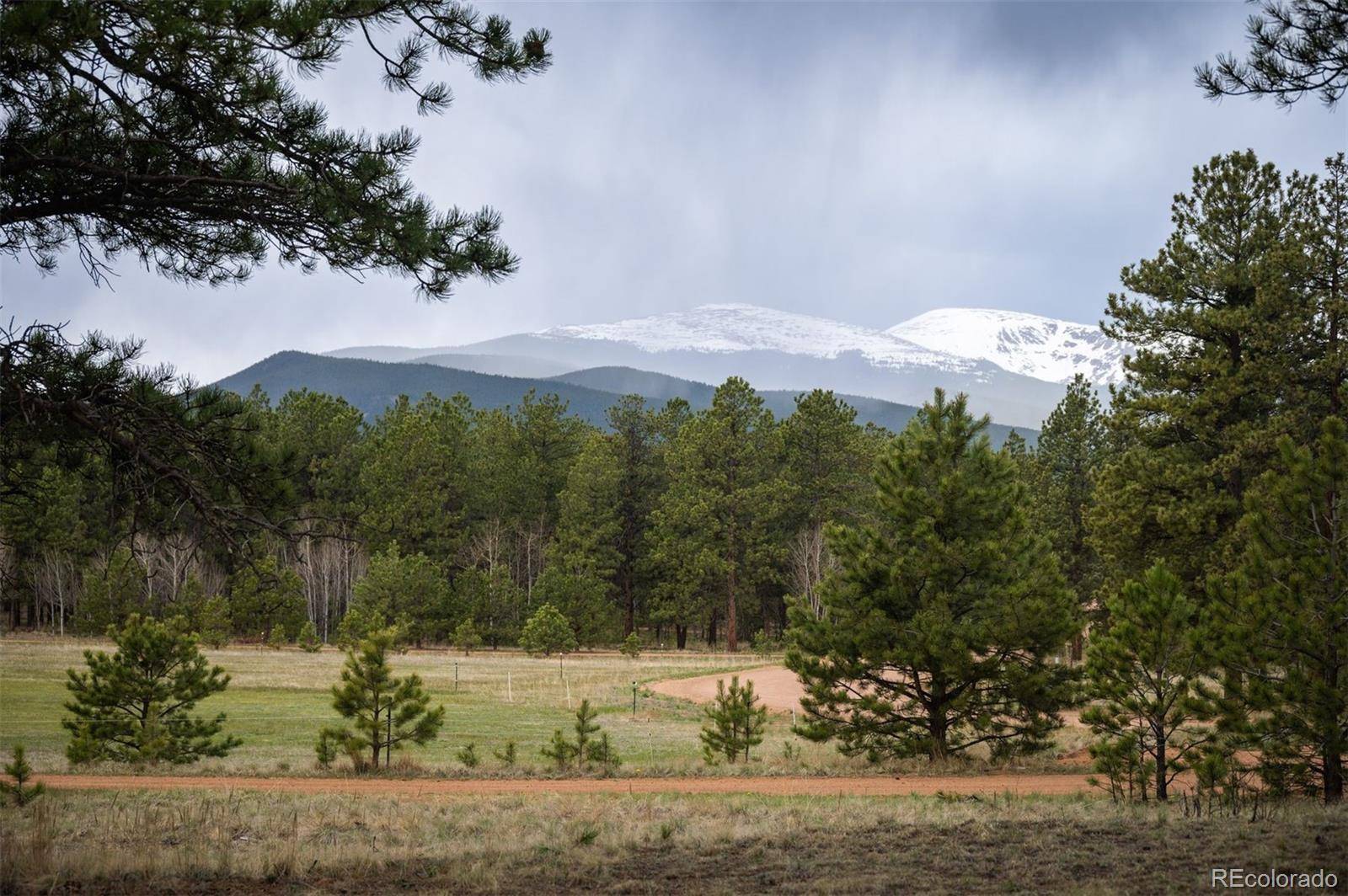 Bailey, CO 80421,692 Tincup TER