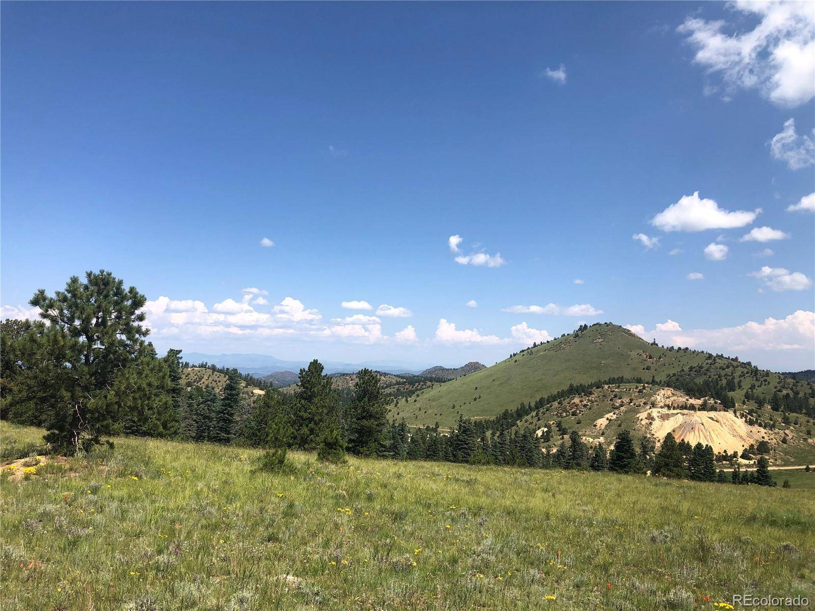 Westcliffe, CO 81252,000 County Road 334