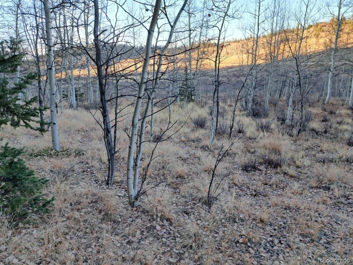 Como, CO 80432,805 Longbow DR