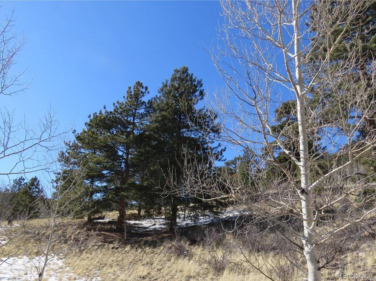 Lake George, CO 80827,87 and 109 Dakota PATH