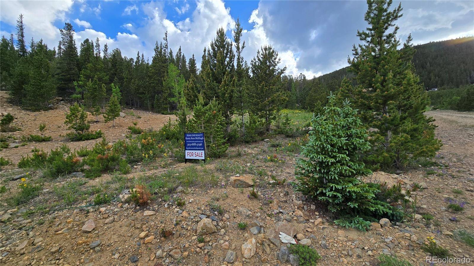 Idaho Springs, CO 80452,Aspen Rd