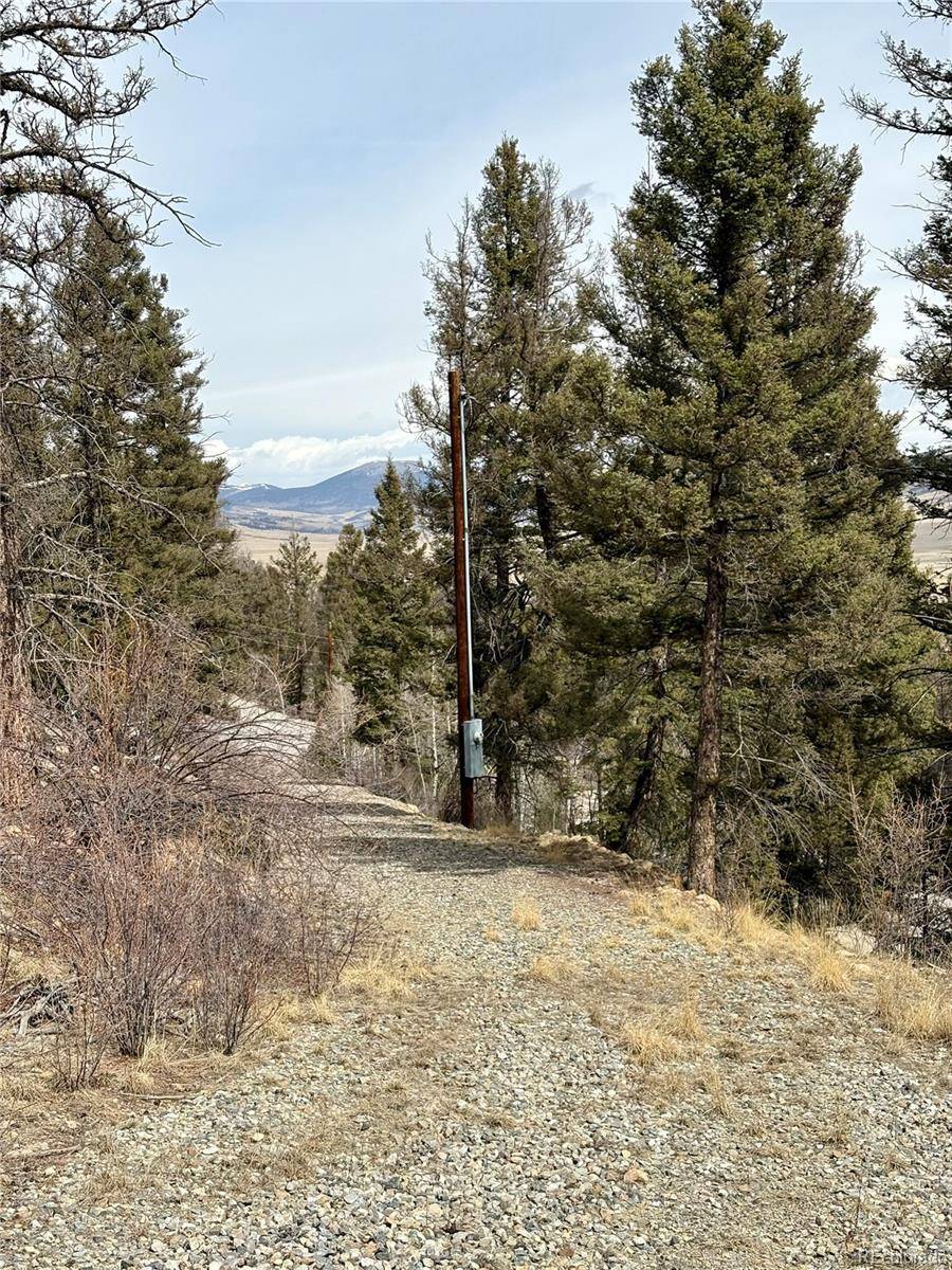 Fairplay, CO 80440,1445 Redhill RD