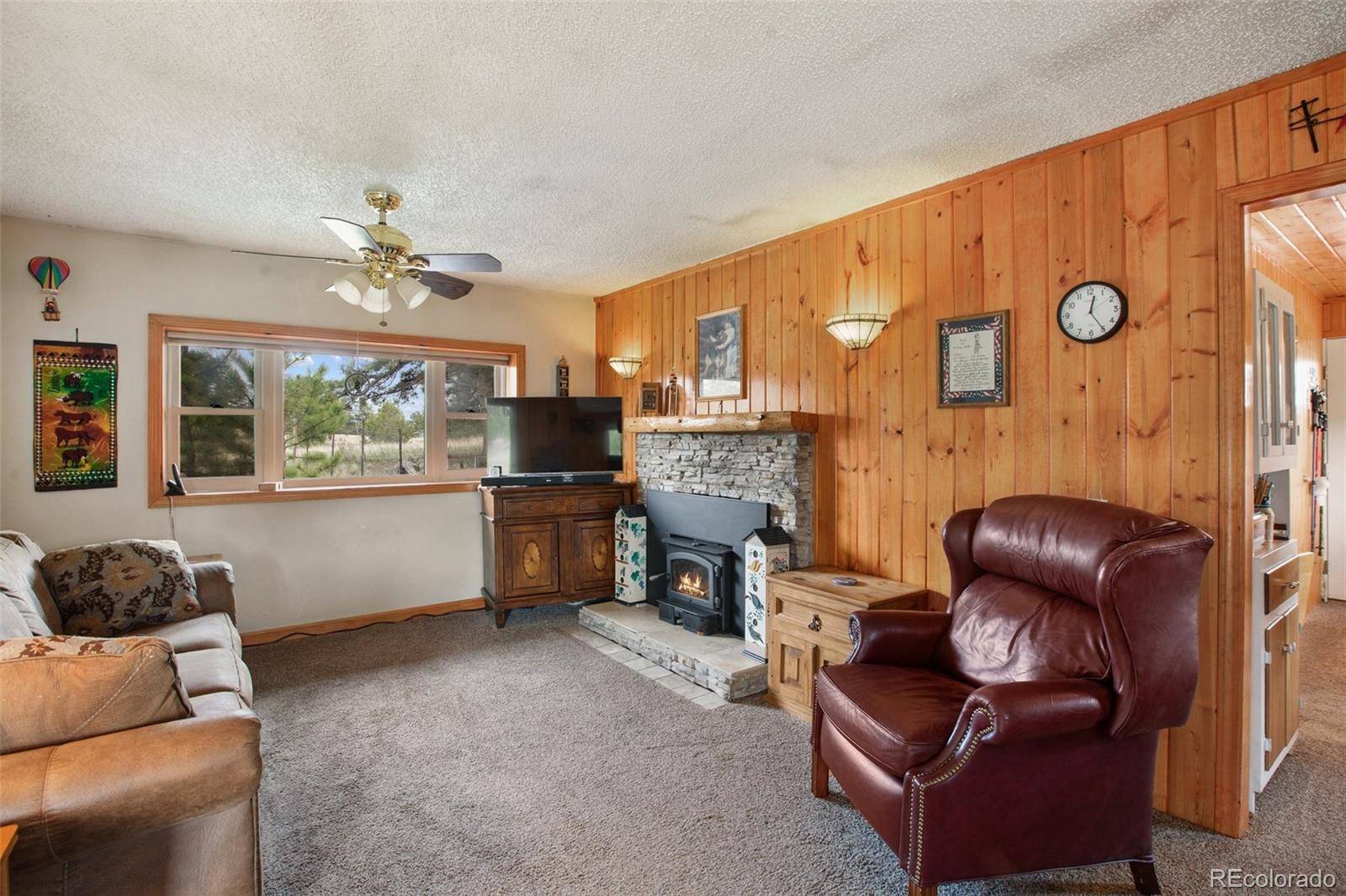 Guffey, CO 80820,949 Doe Valley RD
