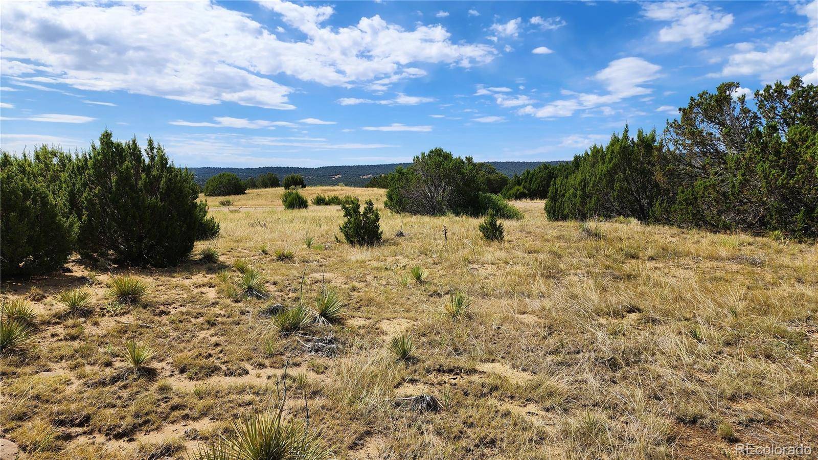 Walsenburg, CO 81089,21 Indian Head Trail L21 B4