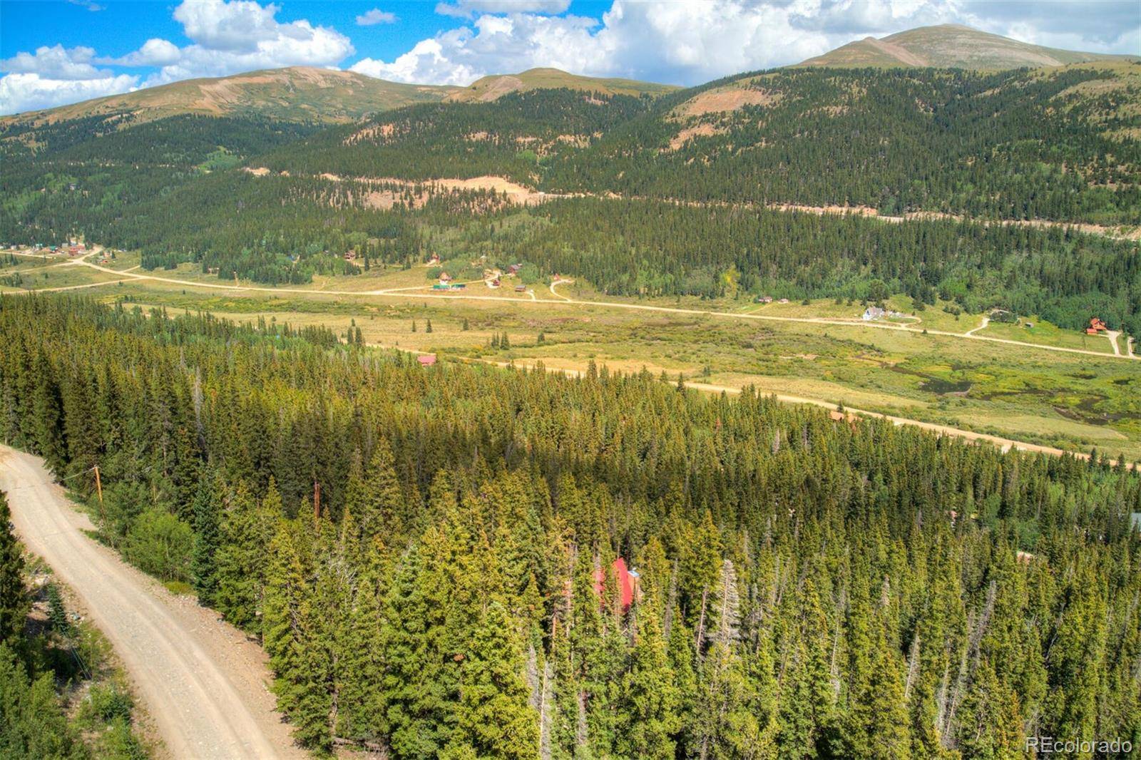 Alma, CO 80440,1314 Quartzville RD