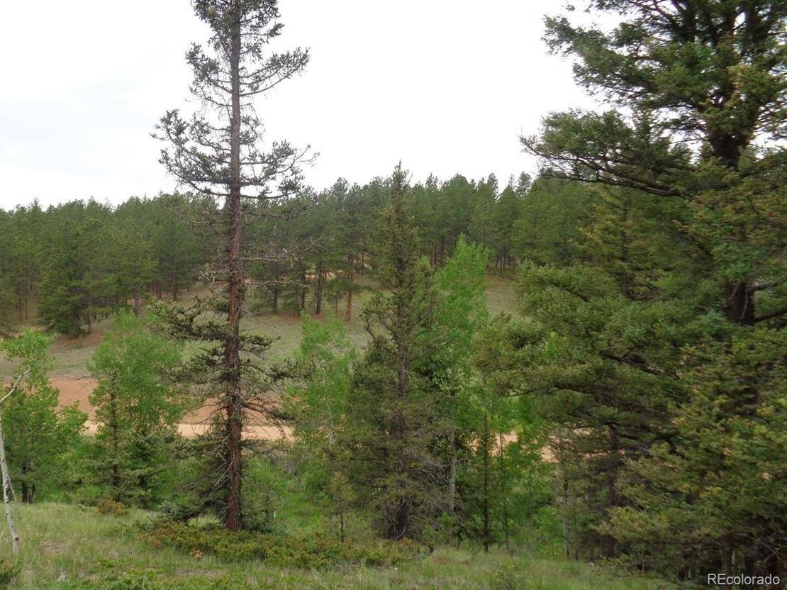 Florissant, CO 80816,192 Rabbil Creek TRL