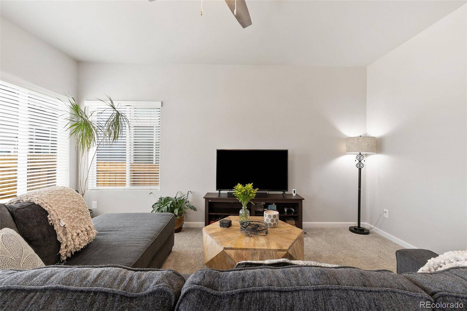 Colorado Springs, CO 80925,10416 Castor DR
