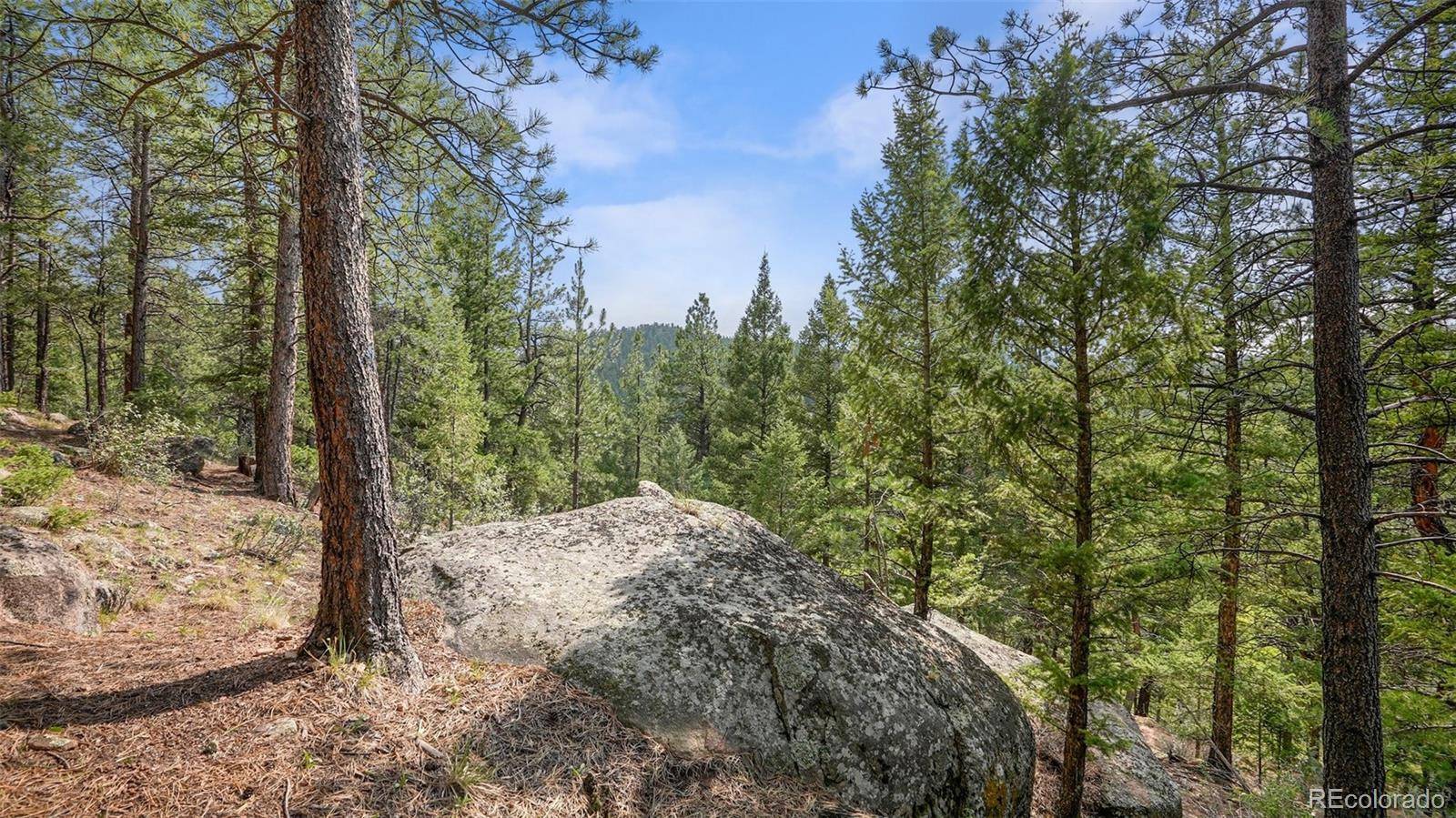 Pine, CO 80470,000 Silver Springs RD